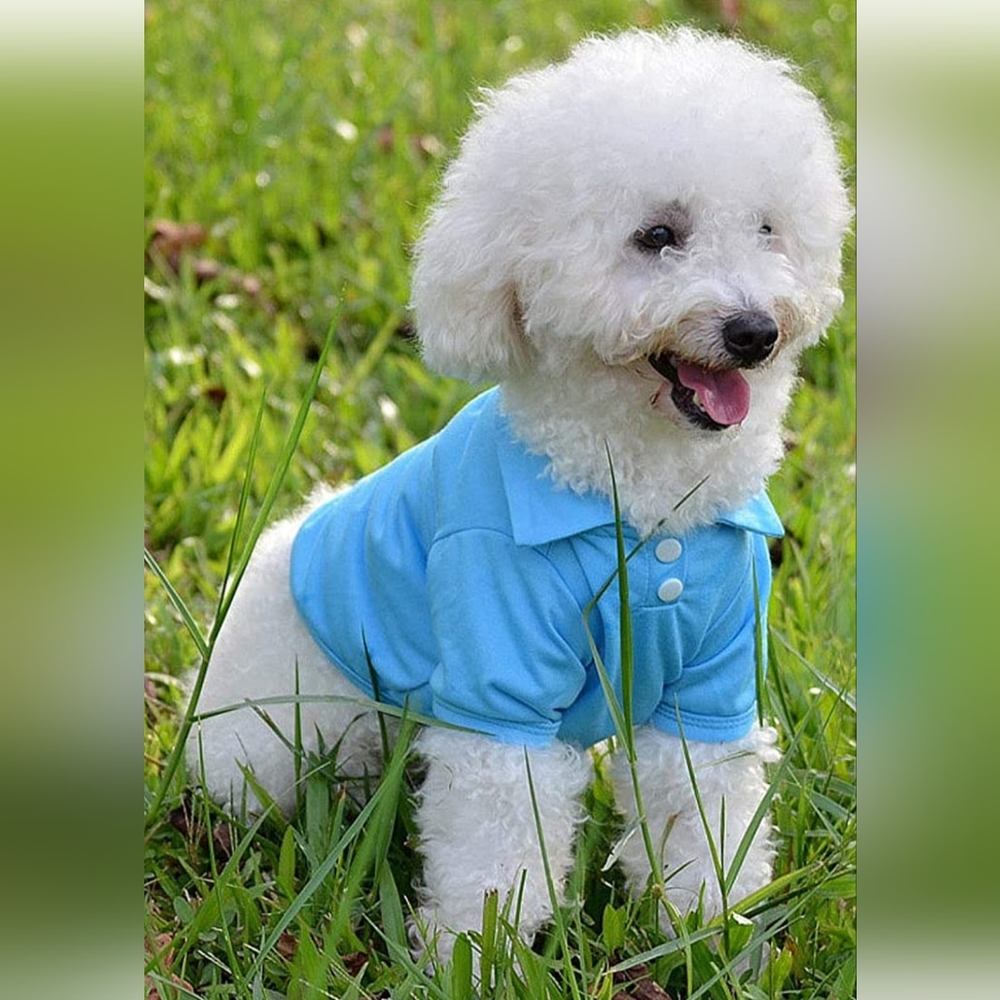 NWT Blue puppy dog polo shirt size M